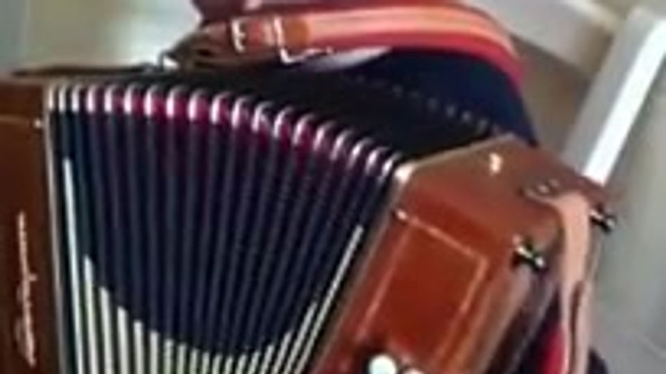 Bambino suona Pizzicarella all'organetto